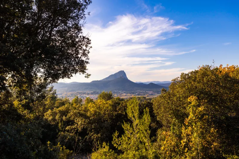 view of the pic saint-loup through the vegetation from the garrigue (occitanie, france)