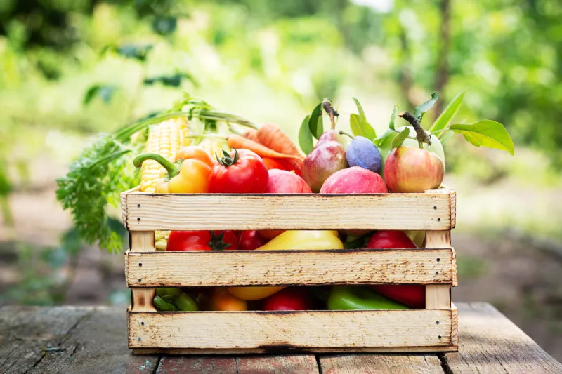 fresh organic vegetables and fruit in wooden crate healthy food on garden background