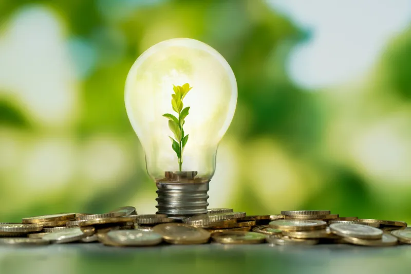 close up photo of lightbulb with growing plant inside and coin stacks as a symbol of money saving concept of money, investment and startup business idea