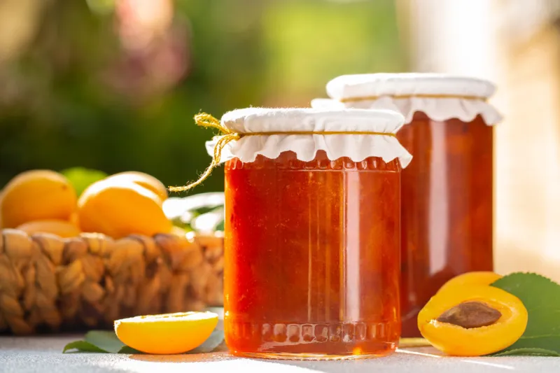 homemade apricot jam in the garden copy space