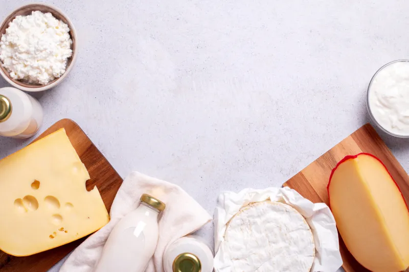 dairy products frame on light gray background flat lay with cheese, milk, cottage cheese and yogurt on light table top, copy space