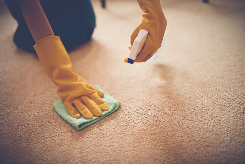 close-up image of woman removing stain from the carpet