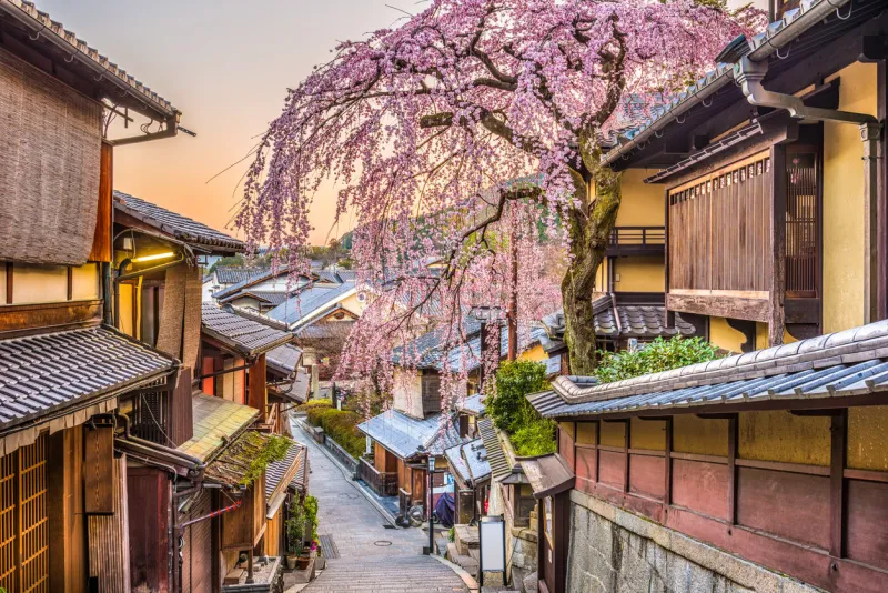 kyoto, japan springtime at the historic higashiyama distirct
