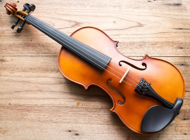 violin on wood background top view