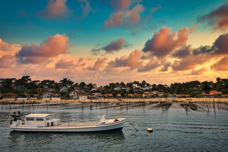 oyster park in the arcachon basin under the sunset