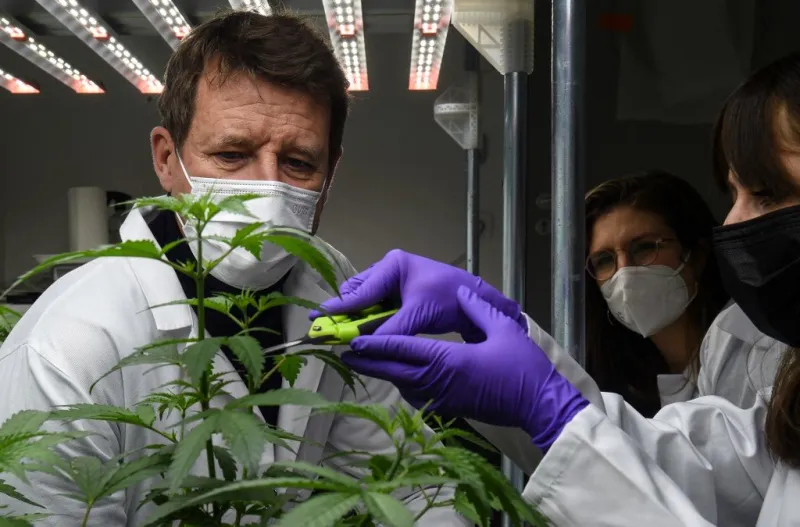 france2022 politics election eelv