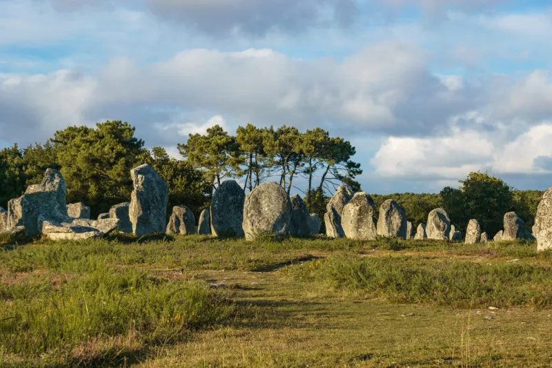miles long megalithic stones alignment on green meadow in carnac, brittany, france