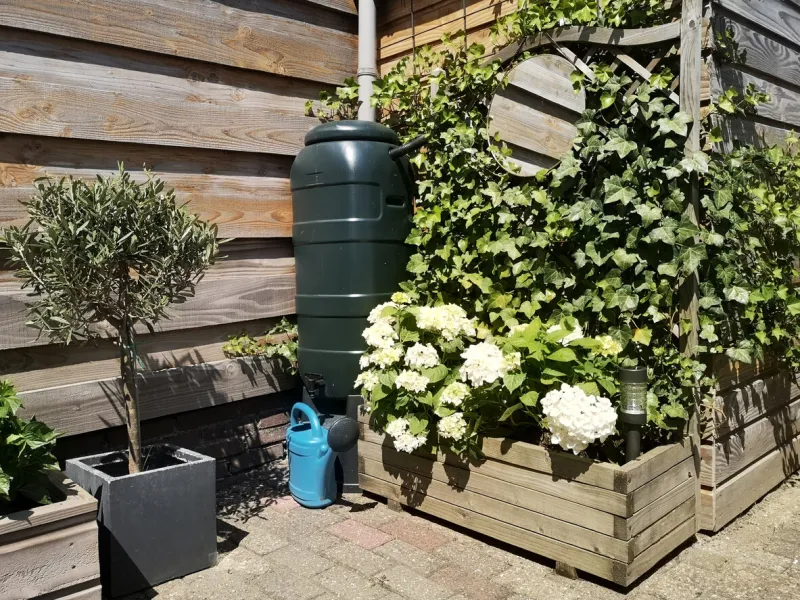 a green rain barrel with a blue watering can in a beautiful botanical garden