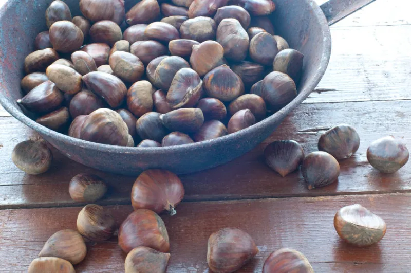 groupe de châtaignes crues prêtes à cuire, italie