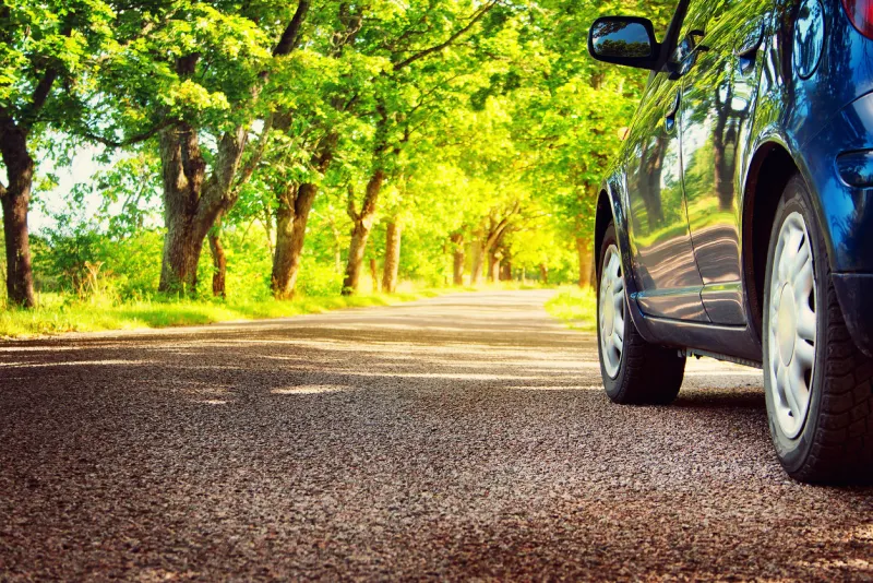 car on asphalt road on summer day at park