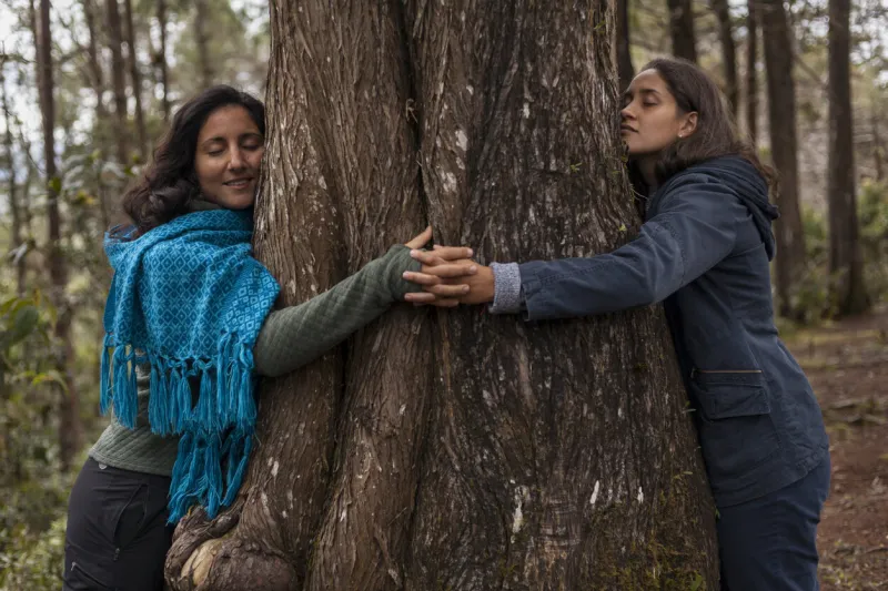 couple happily celebrates another year together strolling through a forest in santa elena medellín