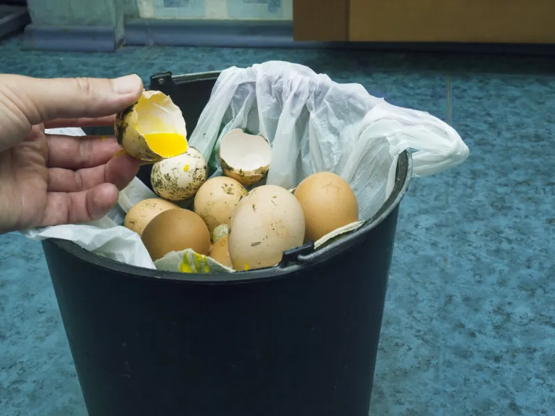 human hand throwing bad egg into a rubbish bin, filtered photo