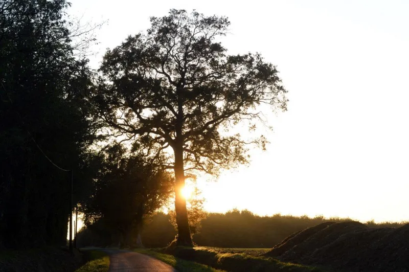 france investigation teenagers missing