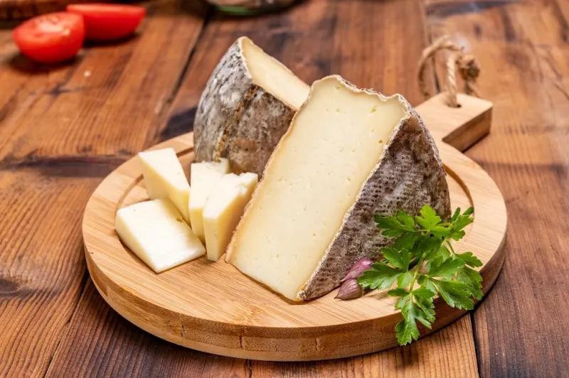 pieces of cheese tomme de montagne or tomme de savoie made from cow milk in french alps