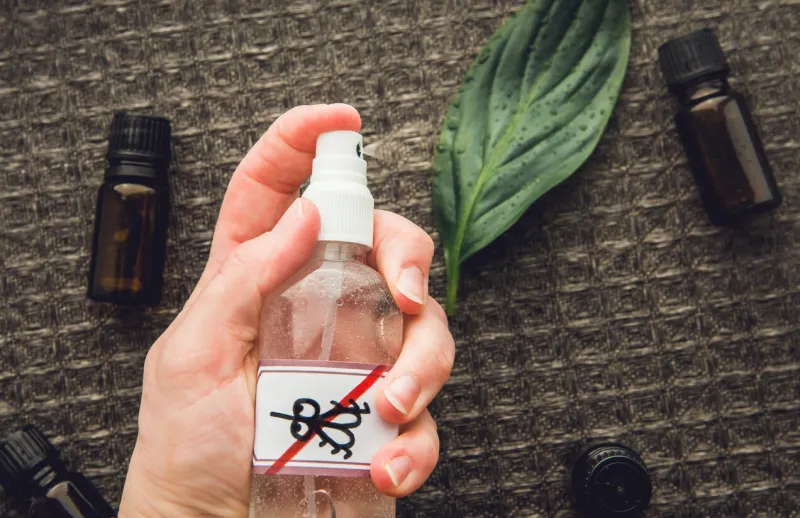woman hand holding and using homemade essential oil based mosquito repellent flat lay view of spray bottle surrounded by brown essential oil bottles against black background