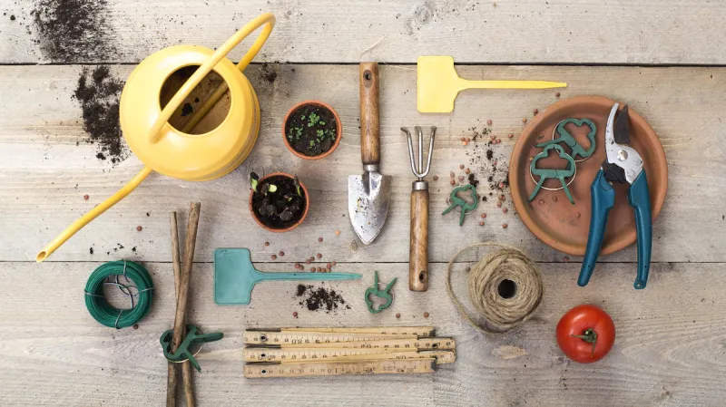 top view vegetable gardening header image on old stained wooden planks arranged items flat lay