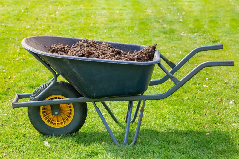 wheelbarrow full with organic manure standing on green grass in spring season it's an ideal time to work in the garden and add animal dung to the soil