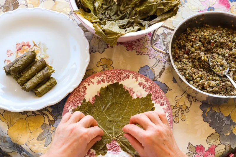 woman hands, preparing traditional turkish and greek dish stuffed grape leaves, food concept