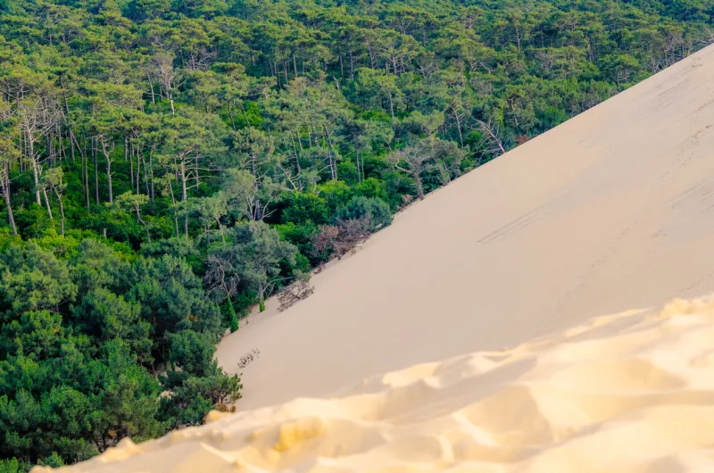 the dune of pilat, also called grande dune du pilat, the tallest sand dune in europe