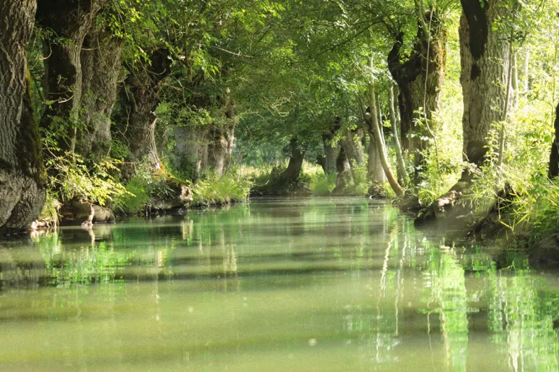 conche in the marais de la garette in the marais poitevin where the shadows play with the trognes