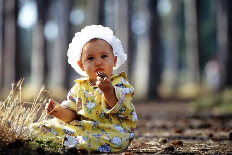 young baby girl in the edge of the woods with pine cone on 08- 24-1991