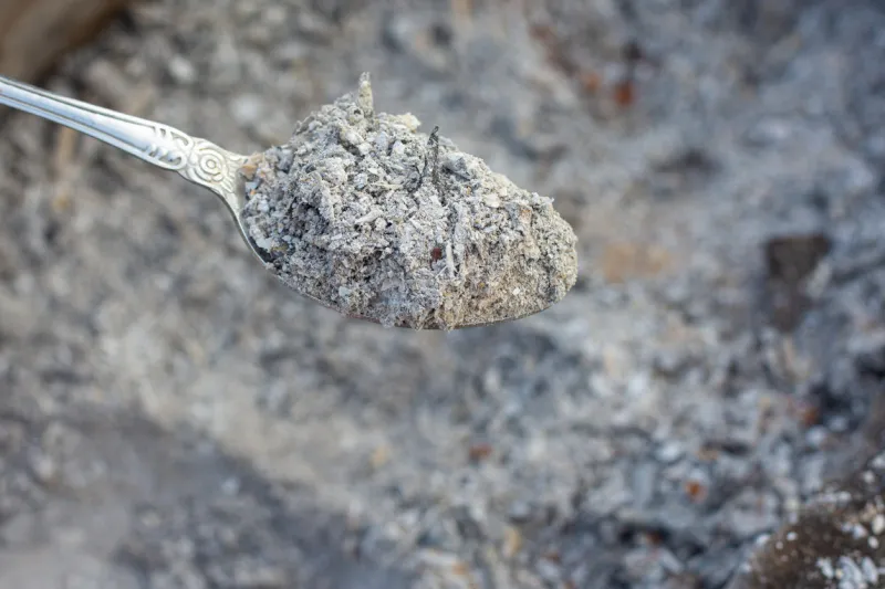 the spoon is filled with fresh ash after burning branches and grass in the garden