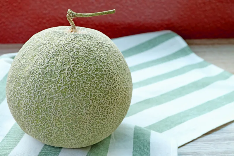 a fresh ripe muskmelon or cantaloupe melon fruit isolated on striped dish towel