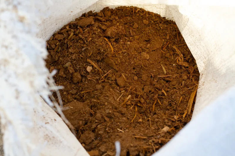 manure from cows and livestock for use in vegetable farm