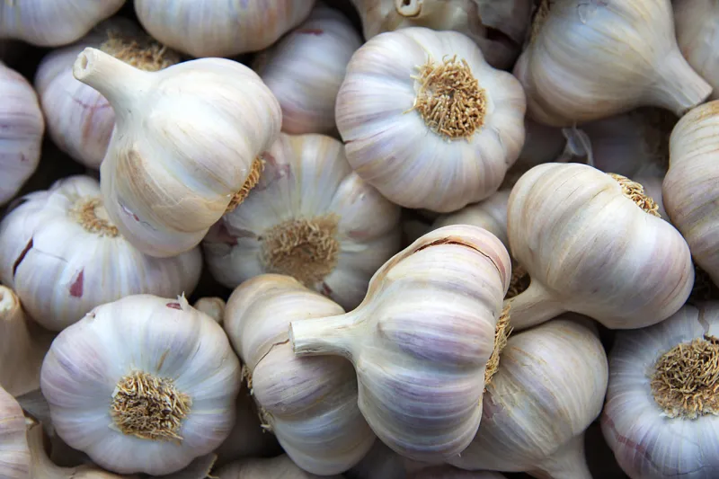 a background of bulbs of fresh garlic for sale at a market
