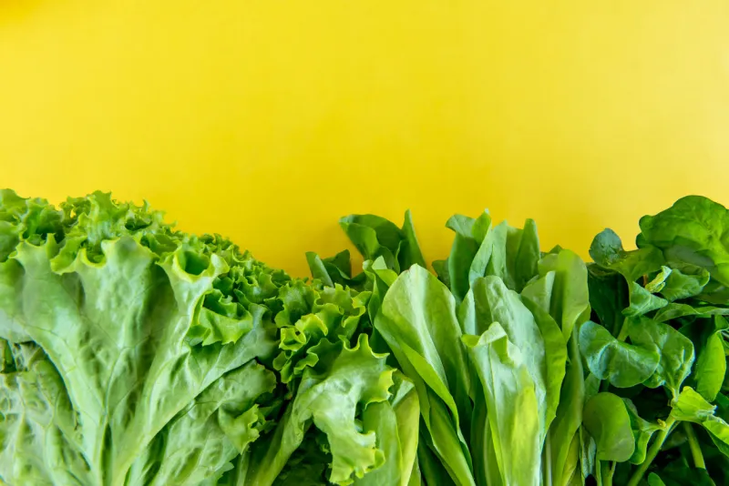 salad, lettuce and spinach on a yellow background