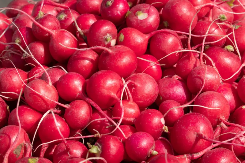 young red radish roots on the market counter background texture