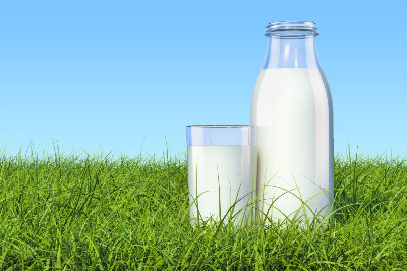 bottle with organic milk and glass of milk in the green grass against blue sky, 3d rendering