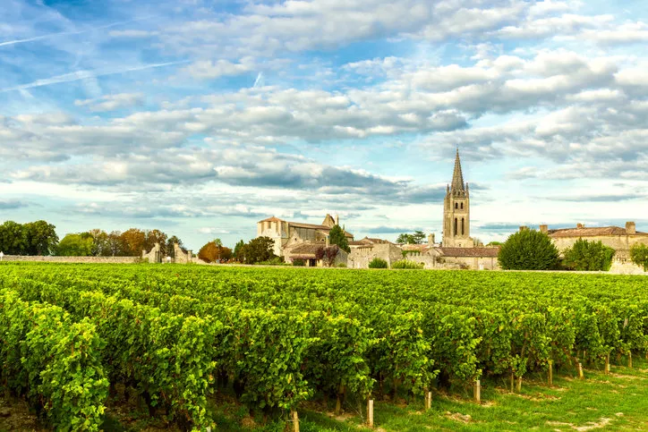 vineyards of saint emilion, bordeaux vineyards in france in a sunny day