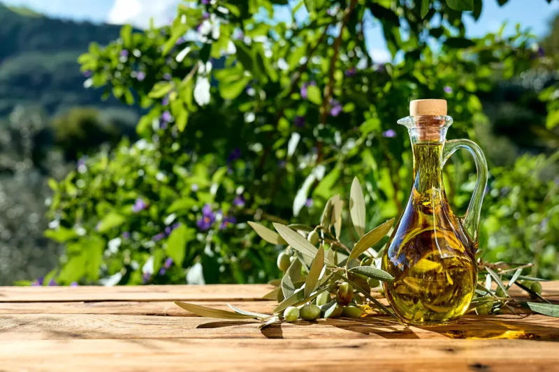 extra virgin olive oil and olive branch in the bottle on wooden table in the olive grove healthy mediterranean food