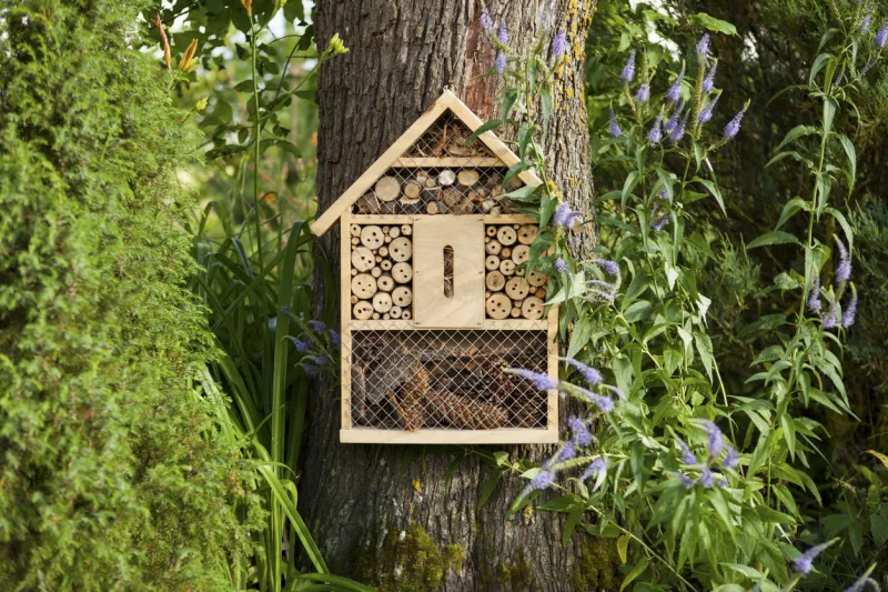 insect house in the garden, protection for insects, insekten hotel