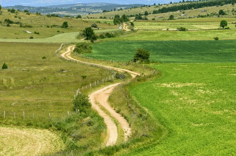 mountain landscape in lozere (languedoc-roussillon, france) at summer  country road