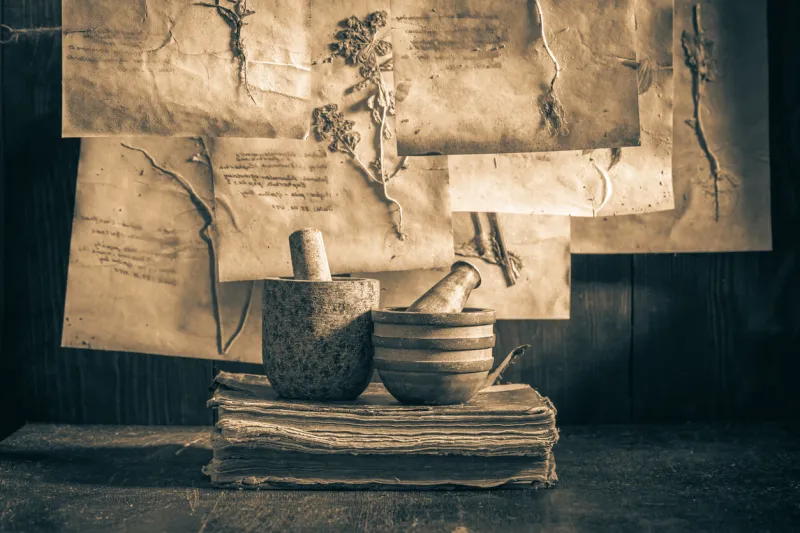 strange herbal workshop with dried flowers and herbs in wooden cottage