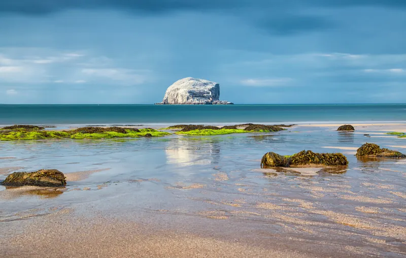 rain and bass rock reflections in water bass rock colony of gannets north berwick scotland