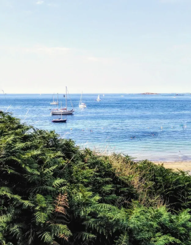 francebrittanya view of arzon beach and its picturesque fern vegetation in the foreground