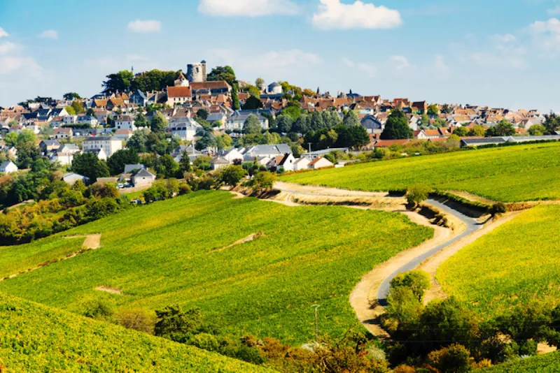 sancerre village on top of its hill, with foreground vinyards, in the area of the loire valley, france