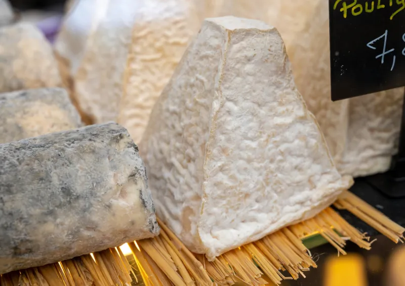 cheese collection, french pouligny pyramid cheese made from goat milk in region pouligny-saint-pierre in france close up