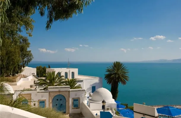 tunisie sidi bou said - bâtiment typique avec murs blancs, portes et fenêtres bleues
