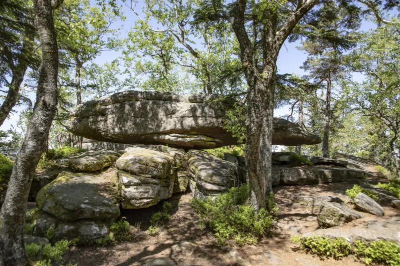 reptile rock at taenchel walking trail near ribeauville, france