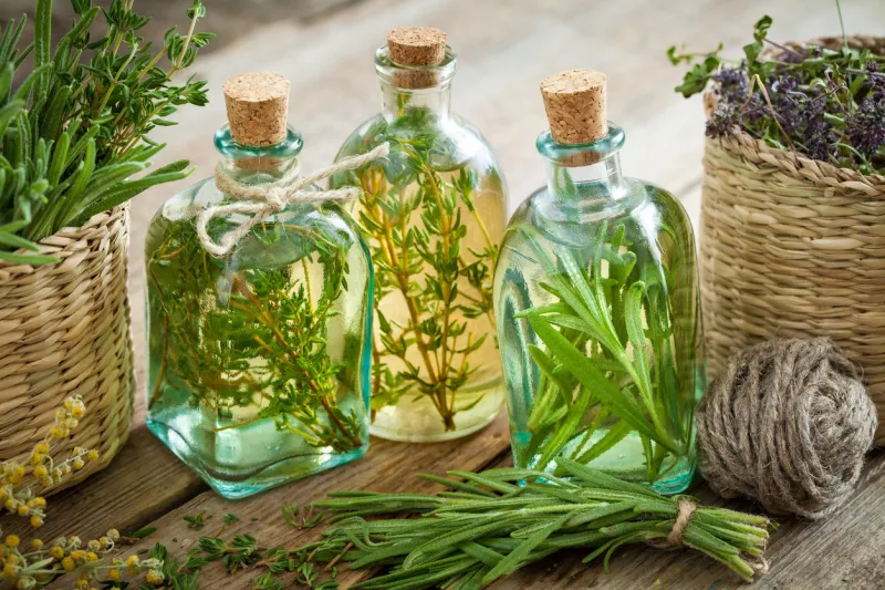 bottles of thyme and rosemary essential oil or infusion, herbal medicine