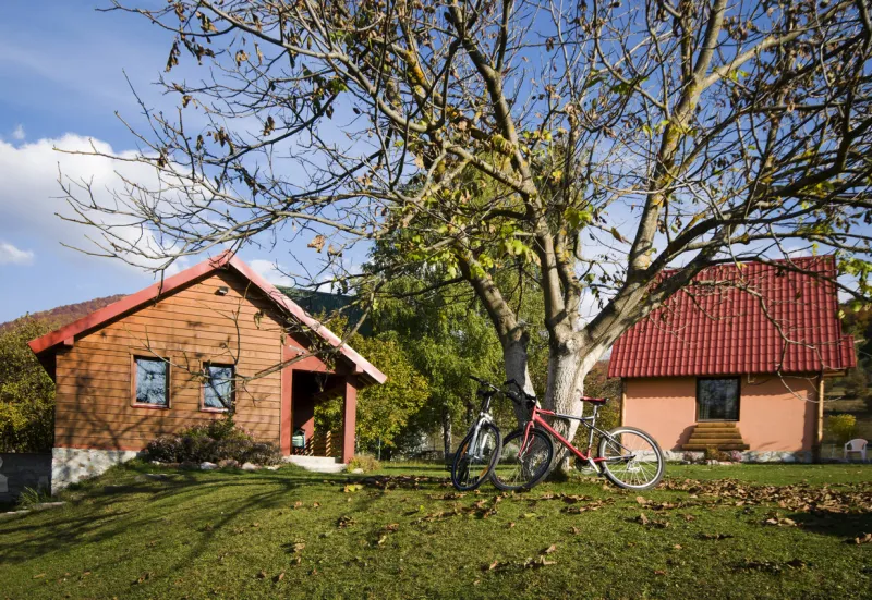 two small bungalow houses with tree in front