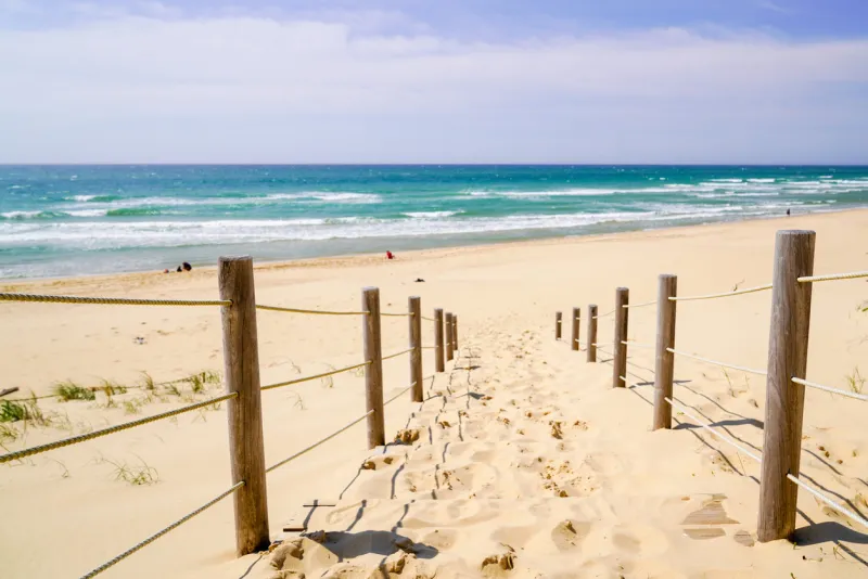 pathway dunes access of sand beach in la jenny park near lege cap-ferret in france