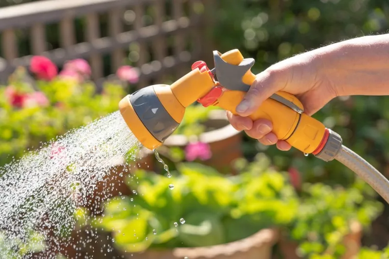hand holding a watering hose spray gun watering plants in a gard