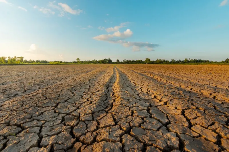 the land is dry and parched because of global warming