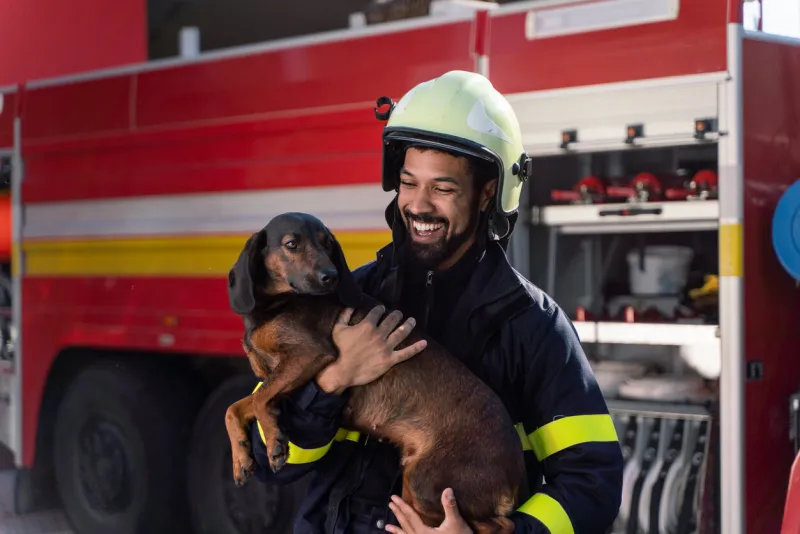 a happy mature firefighter man holding dog and looking at camera with fire truck in background