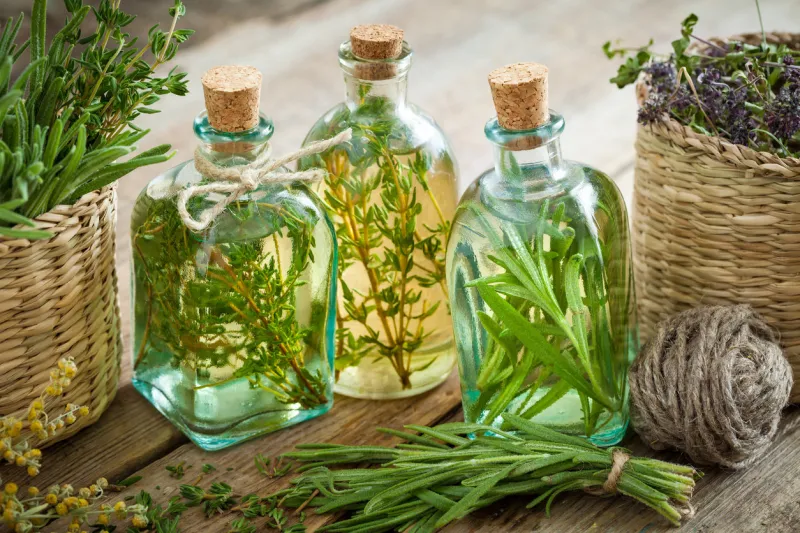 bottles of thyme and rosemary essential oil or infusion, herbal medicine